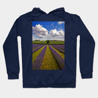 Lavender Field Purple Flowers Cotswolds England Hoodie